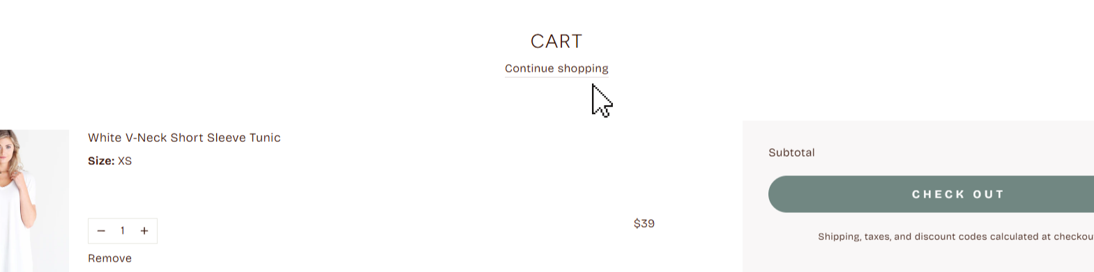 Continue shopping.png