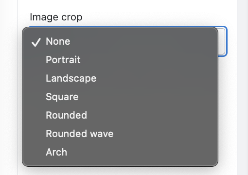 Gallery Section 2.png