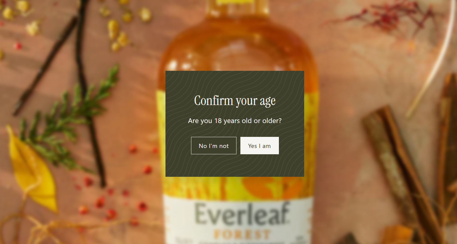 age verification example.png