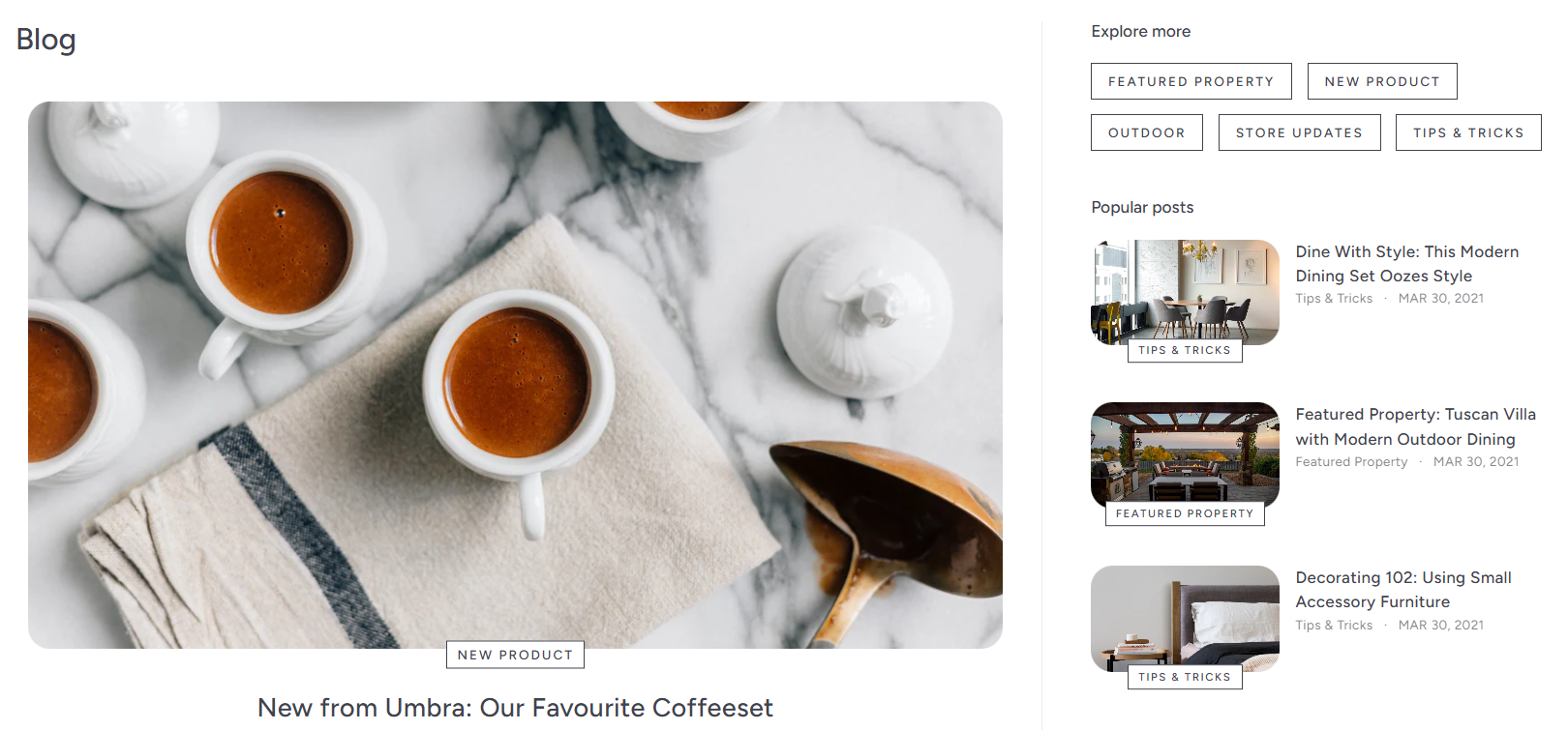 Expanse blog page.png