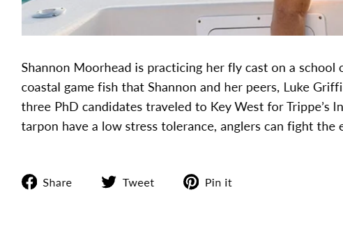 social sharing icons example.png